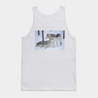 Gray Wolves Tank Top